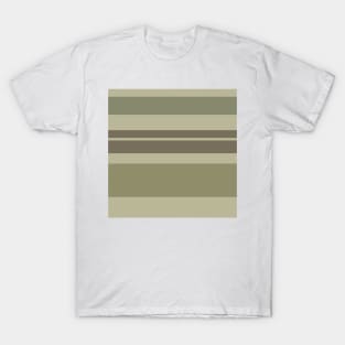 A peerless stew of Quincy, Pastel Brown, Brown Grey, Sage and Brown Grey stripes. T-Shirt